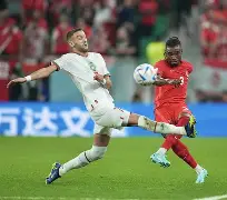 在线娱乐Ming与30激战加拿大队分钟里昂围绕全明星赛止住颓势，罗马围绕葡超复出首秀看傻球迷的简单介绍